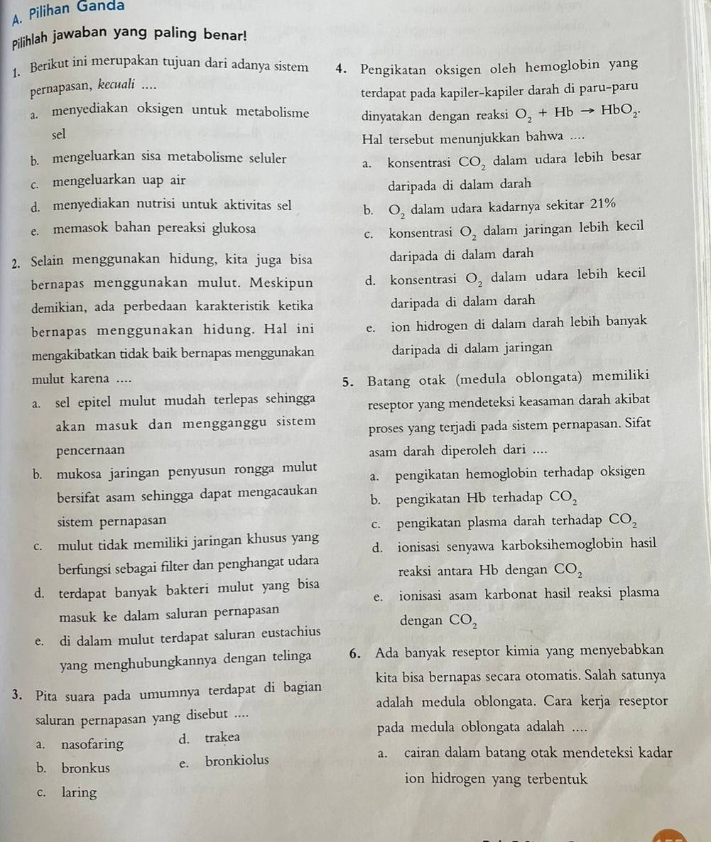 Pilihan Ganda
Pilihlah jawaban yang paling benar!
1. Berikut ini merupakan tujuan dari adanya sistem 4. Pengikatan oksigen oleh hemoglobin yang
pernapasan, kecuali ....
terdapat pada kapiler-kapiler darah di paru-paru
a. menyediakan oksigen untuk metabolisme dinyatakan dengan reaksi O_2+Hbto HbO_2.
sel
Hal tersebut menunjukkan bahwa ....
b. mengeluarkan sisa metabolisme seluler
a. konsentrasi CO_2
c. mengeluarkan uap air dalam udara lebih besar
daripada di dalam darah
d. menyediakan nutrisi untuk aktivitas sel b. O_2 dalam udara kadarnya sekitar 21%
e. memasok bahan pereaksi glukosa dalam jaringan lebih kecil
c. konsentrasi O_2
2. Selain menggunakan hidung, kita juga bisa daripada di dalam darah
bernapas menggunakan mulut. Meskipun d. konsentrasi O_2 dalam udara lebih kecil
demikian, ada perbedaan karakteristik ketika daripada di dalam darah
bernapas menggunakan hidung. Hal ini e. ion hidrogen di dalam darah lebih banyak
mengakibatkan tidak baik bernapas menggunakan daripada di dalam jaringan
mulut karena ....
5. Batang otak (medula oblongata) memiliki
a. sel epitel mulut mudah terlepas sehingga reseptor yang mendeteksi keasaman darah akibat
akan masuk dan mengganggu sistem proses yang terjadi pada sistem pernapasan. Sifat
pencernaan asam darah diperoleh dari ....
b. mukosa jaringan penyusun rongga mulut a. pengikatan hemoglobin terhadap oksigen
bersifat asam sehingga dapat mengacaukan b. pengikatan Hb terhadap CO_2
sistem pernapasan c. pengikatan plasma darah terhadap CO_2
c. mulut tidak memiliki jaringan khusus yang d. ionisasi senyawa karboksihemoglobin hasil
berfungsi sebagai filter dan penghangat udara reaksi antara Hb dengan CO_2
d. terdapat banyak bakteri mulut yang bisa
e. ionisasi asam karbonat hasil reaksi plasma
masuk ke dalam saluran pernapasan dengan CO_2
e. di dalam mulut terdapat saluran eustachius
yang menghubungkannya dengan telinga 6. Ada banyak reseptor kimia yang menyebabkan
3. Pita suara pada umumnya terdapat di bagian kita bisa bernapas secara otomatis. Salah satunya
adalah medula oblongata. Cara kerja reseptor
saluran pernapasan yang disebut ....
pada medula oblongata adalah ....
a. nasofaring d. trakea
b. bronkus e. bronkiolus
a. cairan dalam batang otak mendeteksi kadar
ion hidrogen yang terbentuk
c. laring