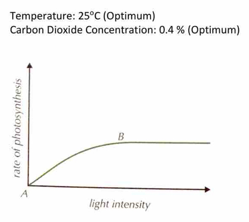 Temperature: 25°C (Optimum) 
Carbon Dioxide Concentration: 0.4 % (Optimum)