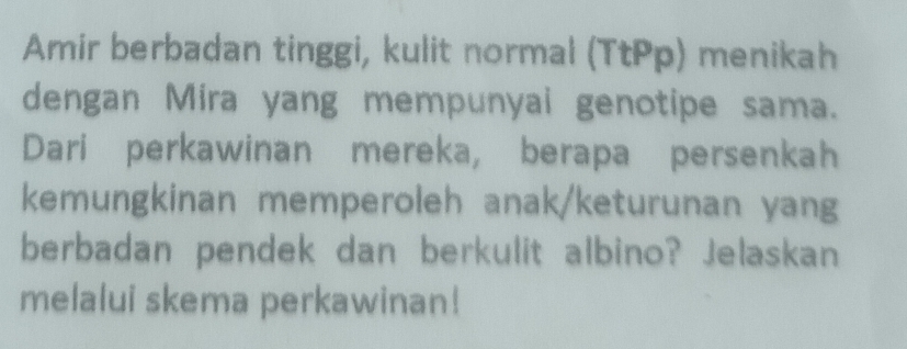 Amir berbadan tinggi, kulit normal (TtPp) menikah 
dengan Mira yang mempunyai genotipe sama. 
Dari perkawinan mereka, berapa persenkah 
kemungkinan memperoleh anak/keturunan yang 
berbadan pendek dan berkulit albino? Jelaskan 
melalui skema perkawinan!