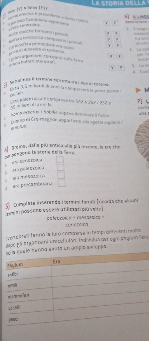 LA STORIA DELLA
2] Vero [V] o falso (F)?
6 il lINgU
Homo erectus e précedente à Hamo habilis F descrizione
a período Cambriano appartiene
allera cenozoica
1. @ luogo
Molte époche formano i périodi
F molecal
F tra loro
Nell'era cenozoica compaiono i primas V F
struttu
Catmosfera primordiale era quasi
priva di diossido di carbónio 2. La sp
v F
i primi organismi comparsi sulla Terra
eucar
erano batteri eterotrof per fo
V F 3. La sc
4. Cost
3) Sottolinea il termine corretto tra i due in corsivo.
Circa 3, 5 miliardi di anni fa comparvero le prime piante M
cellule
e Lera paleozoica é compresa tra 542 e 252 / 252 é 7] L
65 milioni di anni fa
imma
Homo erectus / habilis sapeva dominare il fuoco alla 
C
Luomo di Cro-magnon appartiene alla specie sopiens /
erectus.
4) Ordina, dalla più antica alla più recente, le ere che
compongono la storia della Terra
3. era cenozoica
b. era paleozoica
cera mesozoica
d. era precambriana
5) Completa inserendo i termini forniti (ricorda che alcuni
termini possono essere utilizzati più volte).
paleozoica * mesozoica 
cenozoica
I vertebrati fanno la loro comparsa in tempi differenti molto
dopo gli organismi unicellulari. Individua per ogni phylum l'era
avuto un ampio sviluppo.