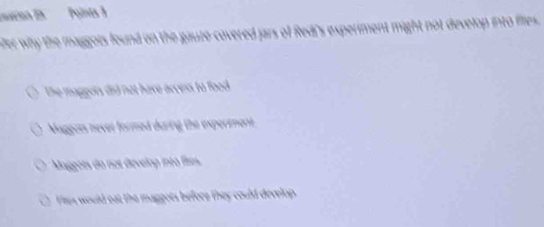 resion En Polnts 3
oer why the maggots found on the gauze-covered jars of Redi's experiment might not develop into flies .
the maggois did not have access to food
Maggots never formed during the expertment
Maggots du not develop into fires.
Fires would oat the maggots before they could develop.