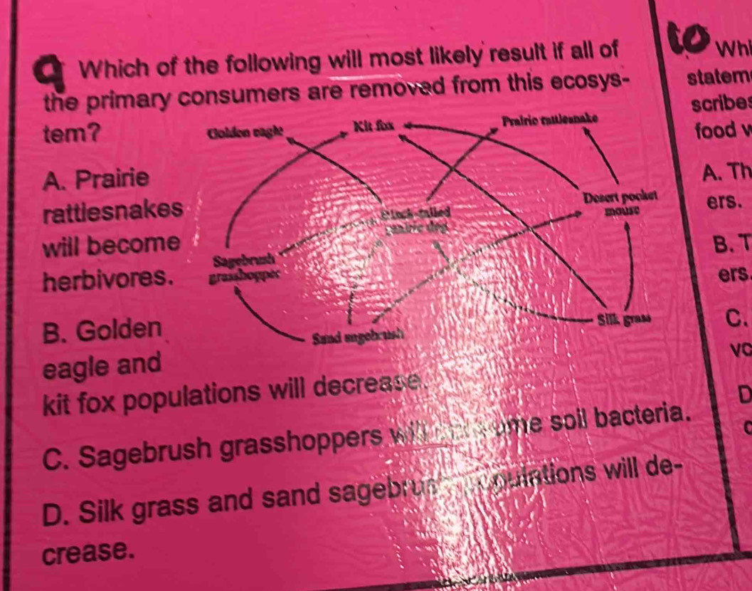 a Which of the following will most likely result if all of to Whi
the primary consumers are removed from this ecosys- statem
tem? scribes
food v
A. Prairie
A. Th
rattiesnake ers.
will becomeB. T
herbivores.ers
B. GoldenC.
eagle and
vc
kit fox populations will decrease .
D
C
C. Sagebrush grasshoppers wi ome soil bacteria.
D. Silk grass and sand sagebrus quintions will de-
crease.