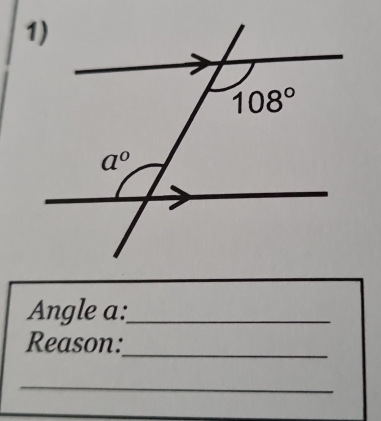 Angle a:_
Reason:_
_