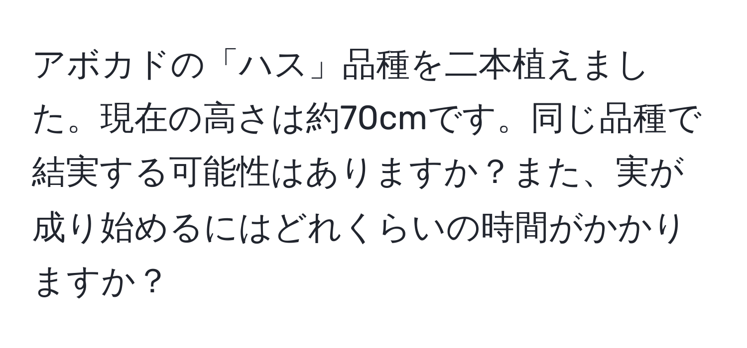 アボカドの「ハス」品種を二本植えました。現在の高さは約70cmです。同じ品種で結実する可能性はありますか？また、実が成り始めるにはどれくらいの時間がかかりますか？