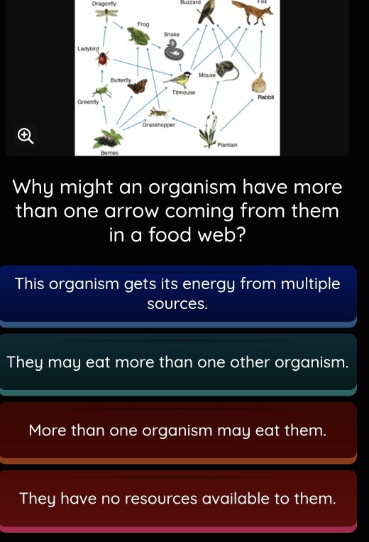 Dragonfly Buzzard
Why might an organism have more
than one arrow coming from them
in a food web?
This organism gets its energy from multiple
sources.
They may eat more than one other organism.
More than one organism may eat them.
They have no resources available to them.