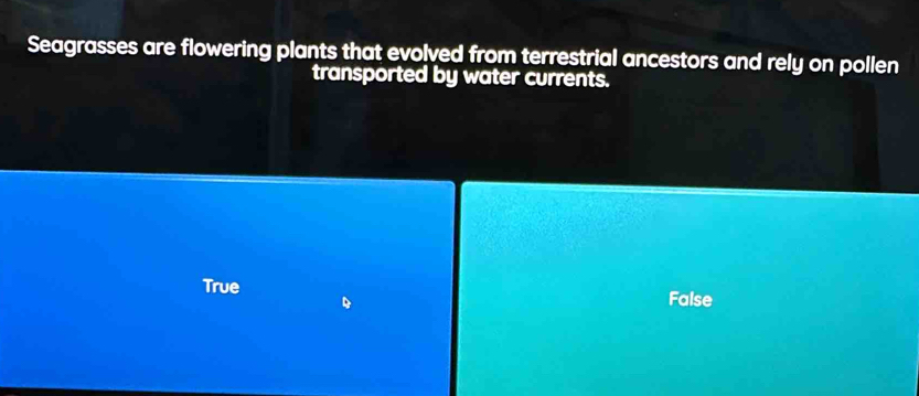 Seagrasses are flowering plants that evolved from terrestrial ancestors and rely on pollen
transported by water currents.
True
False