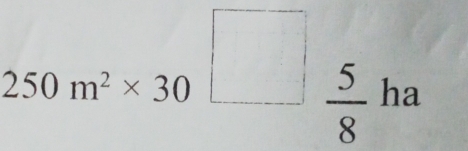 250m^2* 30□
 5/8  ha