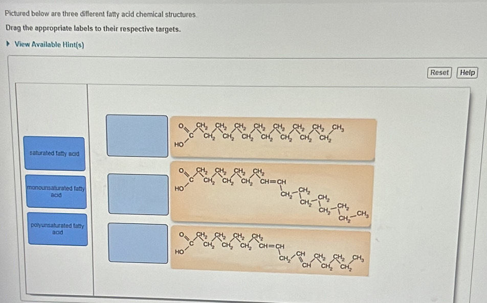 Pictured below are three different fatty acid chemical structures.
Drag the appropriate labels to their respective targets.
View Available Hint(s)
Reset Help
H_2CH_2CH_2CH_2CH_2 CH_2CH_2CH_3
CH_2CH_2CH_2CH_2CH_2 CH_2CH_2
HO
saturated fally acid
CH_2 □  CH_2CH_2CH_2
monounsaturated fatt
o-c CH_2^((circ)
acid
polyunsaturated fatty
_CH_2)^CH_2CH_2CH=_CH_2^CH_2CH_2^((H_2)CH_2^(CH_2))CH_2^((CH_2)-CH_3)
acid