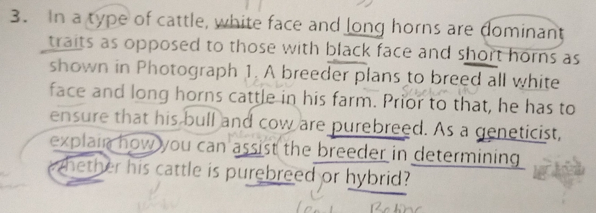 In a type of cattle, white face and long horns are dominant 
traits as opposed to those with black face and short horns as 
shown in Photograph 1. A breeder plans to breed all white 
face and long horns cattle in his farm. Prior to that, he has to 
ensure that his bull and cow are purebreed. As a geneticist, 
explain how you can assist the breeder in determining . 
whether his cattle is purebreed or hybrid?