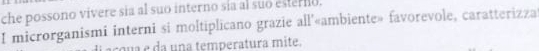 che possono vivere sia al suo interno sía al suo esternio. 
I microrganismi interni si moltiplicano grazie all'«ambiente» favorevole, caratterizza 
argua e da una temperatura mite.