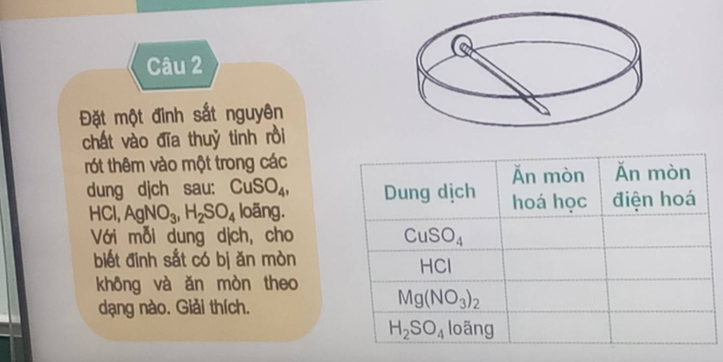 Đặt một đinh sắt nguyên
chất vào đĩa thuỷ tinh rồi
rót thêm vào một trong các
dung djch sau: CuSO_4,
HCl,AgNO_3,H_2SO_4 loãng.
Với mỗi dung dịch, cho
biết đinh sắt có bị ǎn mòn
không và ǎn mòn theo
dạng nào. Giải thích.