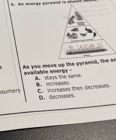 An energy pyramid is shown bell
As you move up the pyramid, the an
available energy -
A. stays the same.
B. increases.
sumers C. increases then decreases.
D. decreases.