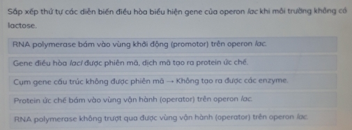 Sắp xếp thứ tự các diễn biến điều hòa biểu hiện gene của operon / ac khi môi trường không có
lactose.
RNA polymerase bám vào vùng khởi động (promotor) trên operon / ạc.
Gene điều hòa /ạc/ được phiên mã, dịch mã tạo ra protein ức chế.
Cụm gene cầu trúc không được phiên mã → Không tạo ra được các enzyme.
Protein ức chế bám vào vùng vận hành (operator) trên operon / ạc.
RNA polymerase không trượt qua được vùng vận hành (operator) trên operon / ạc