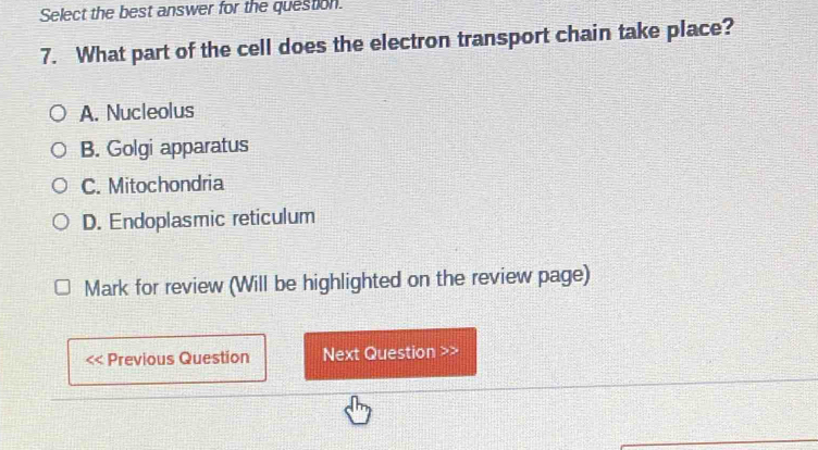 Select the best answer for the question.
7. What part of the cell does the electron transport chain take place?
A. Nucleolus
B. Golgi apparatus
C. Mitochondria
D. Endoplasmic reticulum
Mark for review (Will be highlighted on the review page)
Previous Question Next Question >>