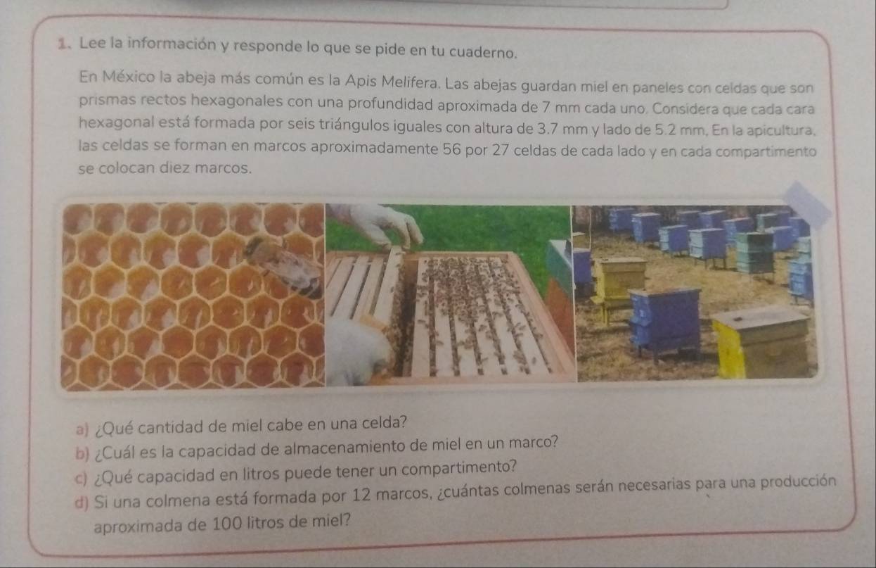 Lee la información y responde lo que se pide en tu cuaderno. 
En México la abeja más común es la Apis Melifera. Las abejas guardan miel en paneles con celdas que son 
prismas rectos hexagonales con una profundidad aproximada de 7 mm cada uno. Considera que cada cara 
hexagonal está formada por seis triángulos iguales con altura de 3.7 mm y lado de 5.2 mm. En la apicultura, 
las celdas se forman en marcos aproximadamente 56 por 27 celdas de cada lado y en cada compartimento 
se colocan diez marcos. 
a) ¿Qué cantidad de miel cabe en una celda? 
b ¿Cuál es la capacidad de almacenamiento de miel en un marco? 
c) ¿Qué capacidad en litros puede tener un compartimento? 
d) Si una colmena está formada por 12 marcos, ¿cuántas colmenas serán necesarias para una producción 
aproximada de 100 litros de miel?