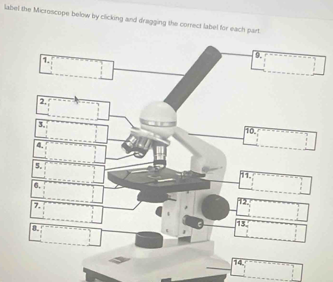 Solved: label the Microscope below by clicking and dragging the correct ...