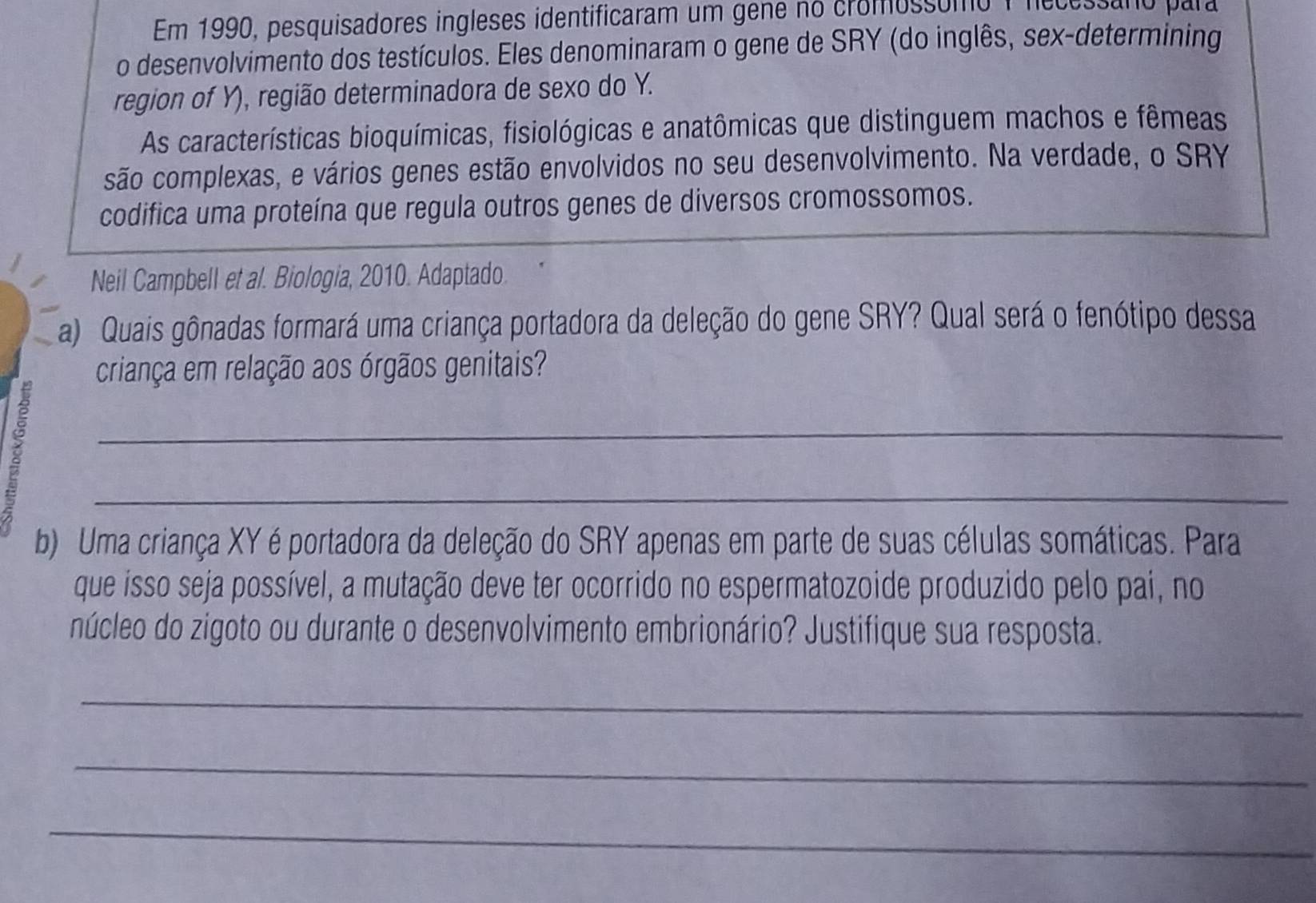 Em 1990, pesquisadores ingleses identificaram um gene no cromossomo 1 necessano para 
o desenvolvimento dos testículos. Eles denominaram o gene de SRY (do inglês, sex-determining 
region of Y), região determinadora de sexo do Y. 
As características bioquímicas, fisiológicas e anatômicas que distinguem machos e fêmeas 
são complexas, e vários genes estão envolvidos no seu desenvolvimento. Na verdade, o SRY 
codifica uma proteína que regula outros genes de diversos cromossomos. 
Neil Campbell et al. Biologia, 2010. Adaptado 
a) Quais gônadas formará uma criança portadora da deleção do gene SRY? Qual será o fenótipo dessa 
criança em relação aos órgãos genitais? 
_ 
_ 
b) Uma criança XY é portadora da deleção do SRY apenas em parte de suas células somáticas. Para 
que isso seja possível, a mutação deve ter ocorrido no espermatozoide produzido pelo pai, no 
núcleo do zigoto ou durante o desenvolvimento embrionário? Justifique sua resposta. 
_ 
_ 
_