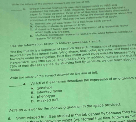 Write the letters of the comect answers on the line at left.
3. Gregor Mendal finished his pea plant experiments in 1863 and
_published his results in 1800. However, few scientists saw Mendel s
paper for three decades. Even after all that time. Mender's discovenes
revolutionized the field of genetics. What did Mendel discover about the
principles of heredity? Choose the two statements that apply.
A. Individuals get one factor for a trait from each parent.
B. Genetic material is genes on DNA.
C. A dominant factor can hide the expression of a recessive factor
when both are present.
D. Mothers contribute factors for some traits while fathers contribute
factors for others.
Use the information below to answer questions 4 and 5.
The tiny fruit fly is a superstar of genetics research. Thousands of experiments he
explored how flies inherit traits. Wing shape, body color, eye color, and head sha
few traits under investigation. Fruit flies make good study subjects because they
inexpensive, take little space, and breed quickly. In addition, humans and fruit fi
75% of their disease genes. By studying fruit-fly genetics, we can learn about h
illness.
Write the letter of the correct answer on the line at left.
_
4. Which of these terms describes the expression of an organism's
B. inherted factor A. genolype
C. phenotype
D. masked trait
Write an answer for the following question in the space provided.
5. Short-winged fruit flies studied in the lab cannot fly because they ha
m to grow tiny wings (w). Normal fruit flies, known as "wi