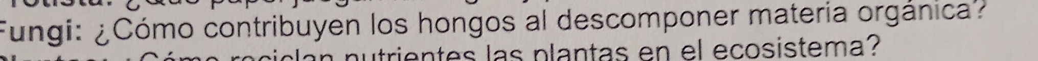 Fungi: ¿Cómo contribuyen los hongos al descomponer matería orgánica? 
n nutrientes las plantas en el ecosistema?