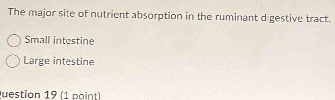 The major site of nutrient absorption in the ruminant digestive tract.
Small intestine
Large intestine
Question 19 (1 point)