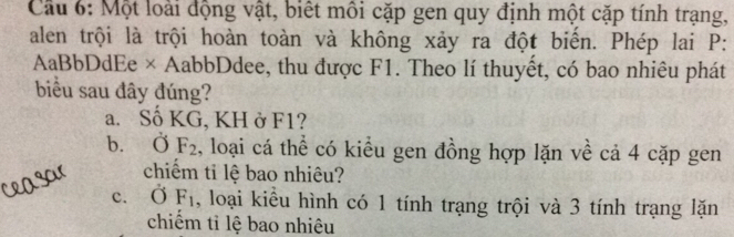 Cầu 6: Một loài động vật, biết môi cặp gen quy định một cặp tính trạng,
alen trội là trội hoàn toàn và không xảy ra đột biển. Phép lai P :
AaBbDdEe x AabbDdee, thu được F1. Theo lí thuyết, có bao nhiêu phát
biểu sau đây đúng?
a. Số KG, KH ở F1?
b. dot OF_2 1, loại cá thể có kiểu gen đồng hợp lặn về cả 4 cặp gen
chiếm tỉ lệ bao nhiêu?
c. Ở F_1 , loại kiểu hình có 1 tính trạng trội và 3 tính trạng lặn
chiếm tỉ lệ bao nhiêu