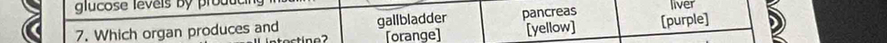 glucose leveis by produ liver
7. Which organ produces and gallbladder pancreas [purple]
tostíne2 [orange] [yellow]