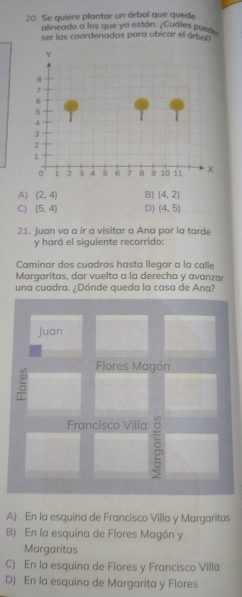 Se quiere plantar un árbol que quede
alineado a los que ya están. ¿Cuáles pued
ser las coordenadas para ubicar el árbol?
A) (2,4) B) (4,2)
C) (5,4) D) (4,5)
21. Juan va a ir a visitar a Ana por la tarde
y hará el siguiente recorrido:
Caminar dos cuadras hasta llegar a la calle
Margaritas, dar vuelta a la derecha y avanzar
una cuadra. ¿Dónde queda la casa de Ana?
Juan
Flores Magón
Francisco Villa

A) En la esquina de Francisco Villa y Margaritas
B) En la esquina de Flores Magón y
Margaritas
C) En la esquina de Flores y Francisco Villa
D) En la esquina de Margarita y Flores