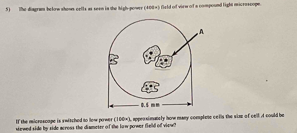 The diagram below shows cells as seen in the high-power (400×) field of view of a compound light microscope. 
If the microscope is switched to low power (100×), approximately how many complete cells the size of cell A could be 
viewed side by side across the diameter of the low power field of view?