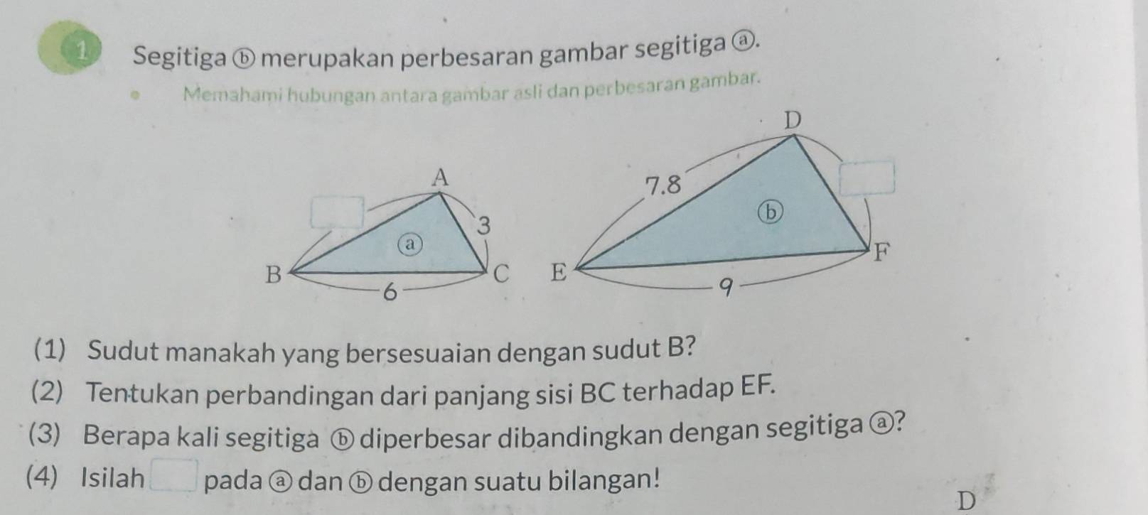 Segitiga ⓑ merupakan perbesaran gambar segitiga ⓐ. 
Memahami hubungan antara gambar asli dan perbesaran gambar. 
(1) Sudut manakah yang bersesuaian dengan sudut B? 
(2) Tentukan perbandingan dari panjang sisi BC terhadap EF. 
(3) Berapa kali segitiga ⓑ diperbesar dibandingkan dengan segitiga @? 
(4) Isilah pada ⓐ dan ⓑ dengan suatu bilangan! 
D