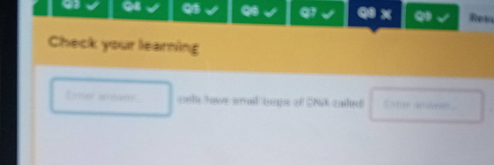 Ress 
Check your learning 
cals have smal looss of DNA caled =irian delsa