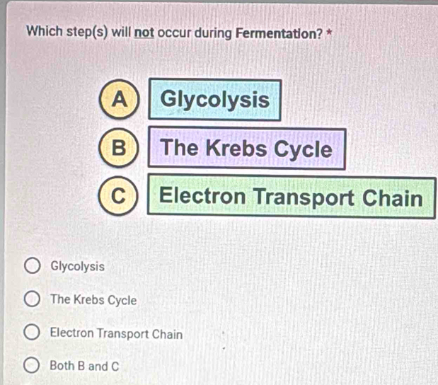 Which step(s) will not occur during Fermentation? *
A Glycolysis
B The Krebs Cycle
c) Electron Transport Chain
Glycolysis
The Krebs Cycle
Electron Transport Chain
Both B and C