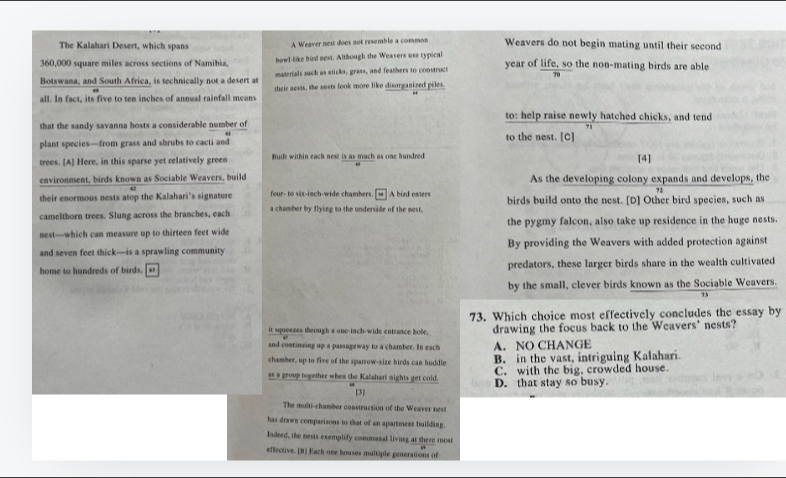 The Kalahari Desert, which spans A Weaver nest does not resemble a common Weavers do not begin mating until their second
360,000 square miles across sections of Namibia, howl-like hied nost. Although the Weavers use rypical year of life, so the non-mating birds are able
materials such as sticks, grass, and feathers to construct
Botswama, and South Africa, is technically not a desert at their aests, the zests look more like disorganized piles.
all. In fact, its five to ten inches of annual rainfall means
to: help raise newly hatched chicks, and tend
that the sandy savanna hosts a considerable number of
71
plant species—from grass and shrubs to cacti and to the nest. [C]
trees. [A] Here, in this sparse yet relatively green Built within each next is as mach as one hundred [4]
environment, birds known as Sociable Weavers, build As the developing colony expands and develops, the
their enormous nests atop the Kalahari's signature four- to six-inch-wide chambers.[←] A bird omers birds build onto the nest. [D] Other bird species, such as
camelthorn trees. Slung across the branches, each a chamber by flying to the underside of the mest .
nest—which can measure up to thirteen feet wide the pygmy falcon, also take up residence in the huge nests.
and seven feet thick—is a sprawling community By providing the Weavers with added protection against
home to hundreds of birds. predators, these larger birds share in the wealth cultivated
by the small, clever birds known as the Sociable Weavers.
71
73. Which choice most effectively concludes the essay by
it squeezes theough a one-inch-wide entrance hole, drawing the focus back to the Weavers' nests?
and continsing up a passageway to a chamber. In each A. NO CHANGE
chamber, up to five of the sparrow-size birds can huddle B. in the vast, intriguing Kalahari.
C. with the big, crowded house.
as a group together when the Kalahari nights get cold. D. that stay so busy.
[3]
The multi-chamber construction of the Weaver nest
has drawn comparisons to that of an apartment building.
Indeed, the nests exemplify commanal living at there most
effective. [B] Each one houses multiple generations of