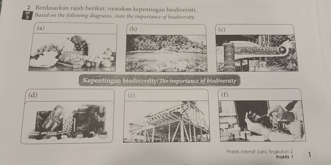 Berdasarkan rajah berikut, nyatakan kepentingan biodiversiti. 
ln Based on the following diagrams, state the importance of biodiversity. 
Kepentingan biodiversity/The importance of biodiversity 
(d) (e) (f) 
Praktis Intensif Sains Tingkatan 2 1 
Praktis 1