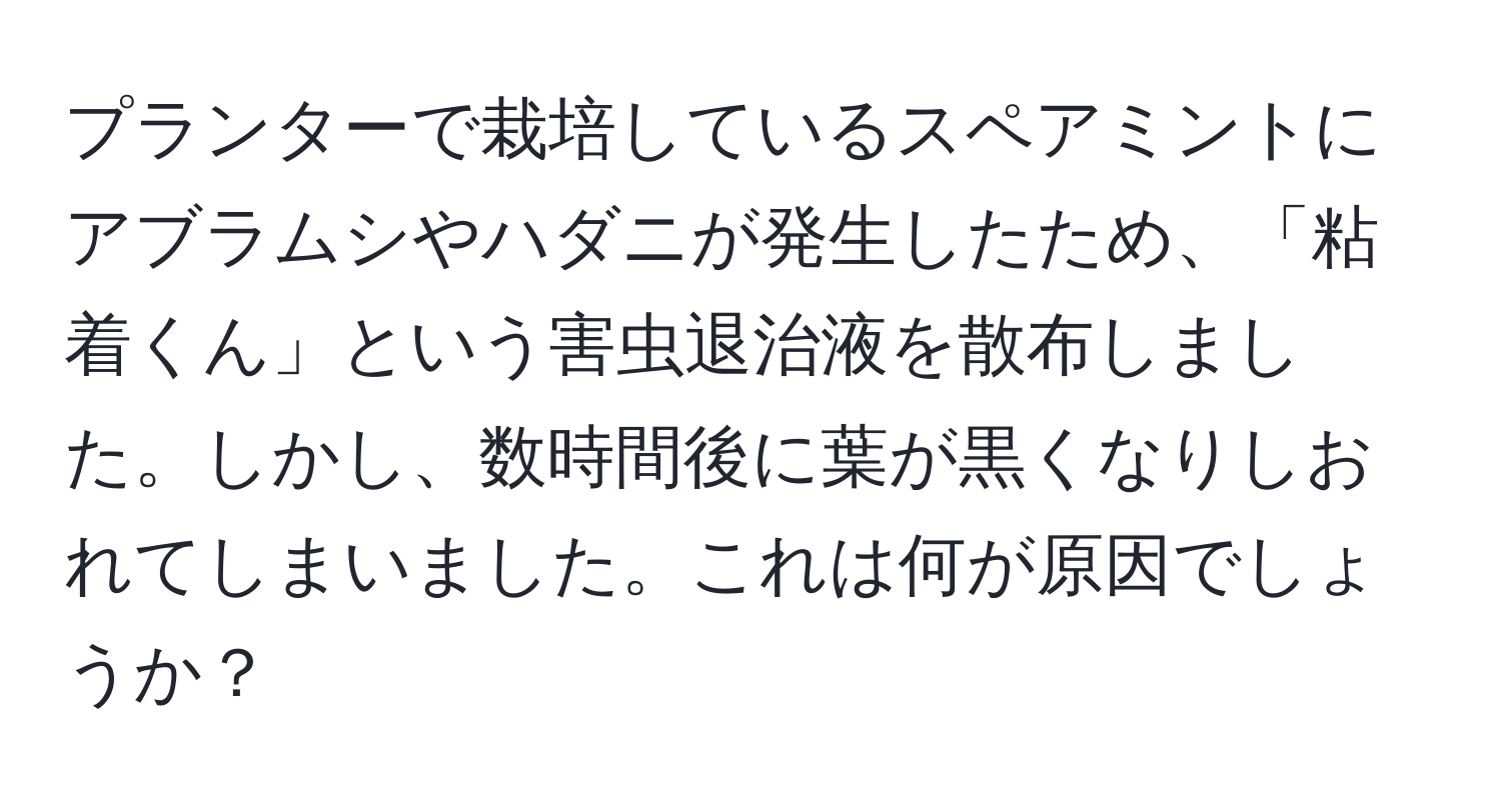 プランターで栽培しているスペアミントにアブラムシやハダニが発生したため、「粘着くん」という害虫退治液を散布しました。しかし、数時間後に葉が黒くなりしおれてしまいました。これは何が原因でしょうか？