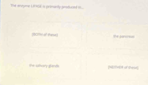 The enzyme LPASE is primarily produced in...
[BOTH of these] the pancrsus
the salery glands [NEITHER of these]