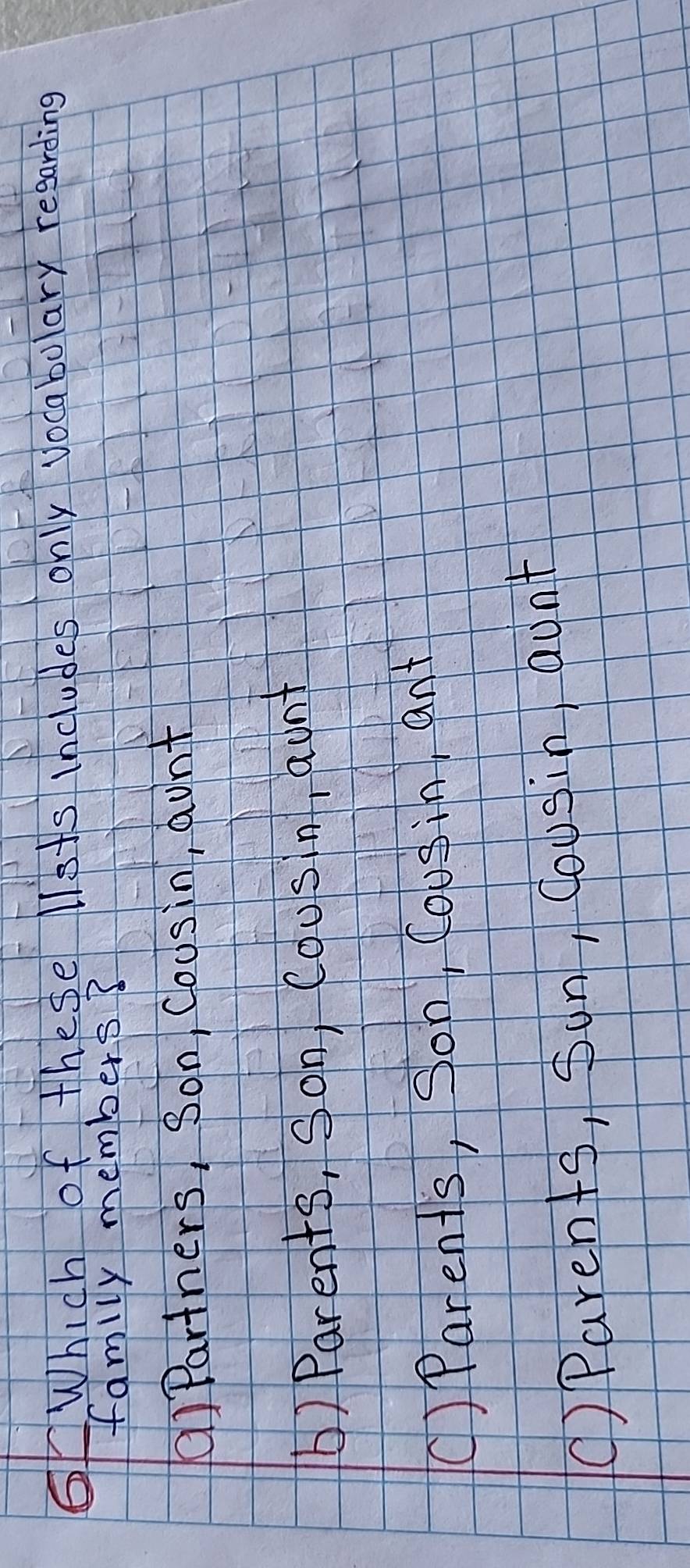 GWhich of these llsts includes only vocabulary regarding
famlly members?
)Partners, Son, Coosin, aunt
b) Parents, Son Cousin, aunt
() Parents, Son, Cousin, ant
() Parents, Sun, Cousin aont