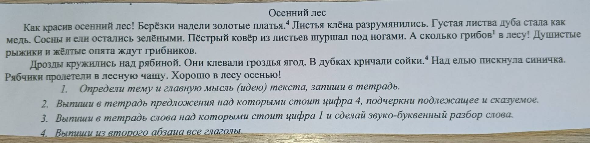 Oсенний леc
Κак красив осенний лес! Берёзки надели золотые πлатья.⁴ Листья клёна разрумянились. Γустая листва луба стала как
медь. Сосны и ели остались зелёηыми. Пёстрый ковёр из листьев пуршал πод ногами. А сколько грибо B^1 в лесу! Душистые
рыжики и жΕлτые оπяτа ждуτ грибηиков.
дрοздьα κружились над рябηной. Они клевали гроздья ягоде Βόдубках кричали сойки.⁴ Над ельо лискнула синичка.
Ρябчики лролетели влеснуюо чашу. Χорошо в лесу осень!
1. Определи тему и главную мысль (идею) текста, запиши в тетрадь.
2. Вылиши в тетрадь ηредложсения над которыми стоит цифра 4, подчеркни подлелсаиее и сказуемое.
3. Выпиши в тетрадь слова над которыми стоит цифра 1 и сделай звуко-буквенный разбор слова.
4. Βыηиши из вторοгο αбзαиα все глаголы.