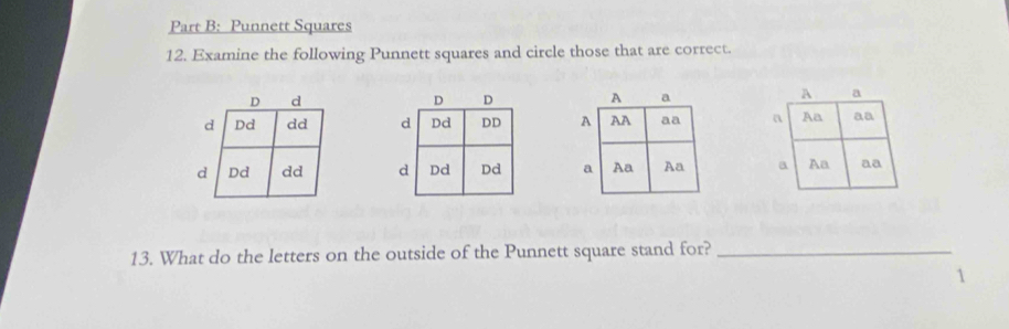 Punnett Squares 
12. Examine the following Punnett squares and circle those that are correct. 


13. What do the letters on the outside of the Punnett square stand for?_ 
1