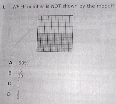 Which number is NOT shown by the model?
A 50%
B  5/10 
C  1/5 
D  1/2 