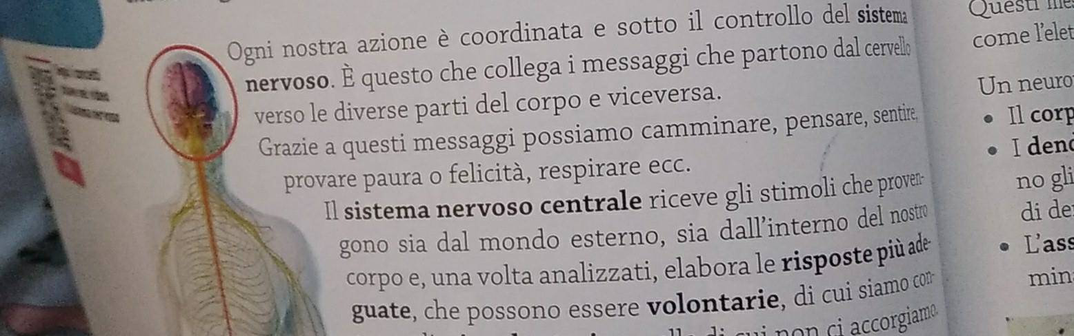 Ogni nostra azione è coordinata e sotto il controllo del sistema Questr me 
nervoso. È questo che collega i messaggi che partono dal cervello come l’elet 
verso le diverse parti del corpo e viceversa. Un neuro 
Grazie a questi messaggi possiamo camminare, pensare, sentire. 
Ilcorp 
I den 
provare paura o felicità, respirare ecc. 
Il sistema nervoso centrale riceve gli stimoli che proven- no gli 
gono sia dal mondo esterno, sia dall’interno del nostro 
di de 
corpo e, una volta analizzati, elabora le risposte più ade 
Lass 
guate, che possono essere volontarie, di cui siamo con 
min 
non ci accorgiamo.