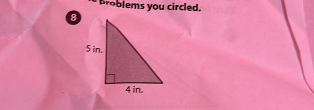 roblems you circled.
8