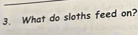 What do sloths feed on?