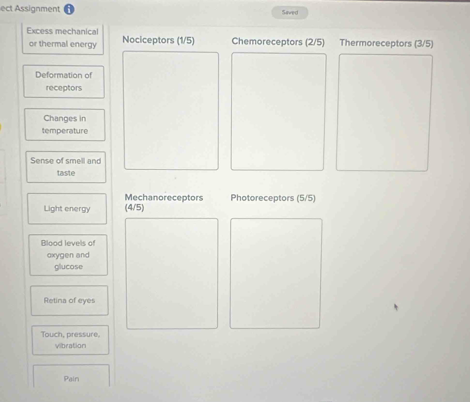 ect Assignment 
Saved 
Excess mechanical 
or thermal energy Nociceptors (1/5) Chemoreceptors (2/5) Thermoreceptors (3/5)
Deformation of 
receptors 
Changes in 
temperature 
Sense of smell and 
taste 
Mechanoreceptors Photoreceptors (5/5)
Light energy (4/5)
Blood levels of 
oxygen and 
glucose 
Retina of eyes 
Touch, pressure, 
vibration 
Pain