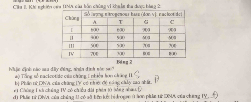 hoge sar?' (4,6 mem)
Câu 1. Khi nghiên cứu DNA của bốn chủng vi khuẩn thu được bảng 2 :
Bảng 2
Nhận định nào sau đây đúng, nhận định nào sai?
a) Tổng số nucleotide của chủng I nhiều hơn chúng II.
b) Phân tử DNA của chủng IV có nhiệt độ nóng chảy cao nhất.
c) Chủng I và chủng IV có chiều dài phân tử bằng nhau.
d) Phân tử DNA của chủng II có số liên kết hidrogen ít hơn phân tử DNA của chủng IV,