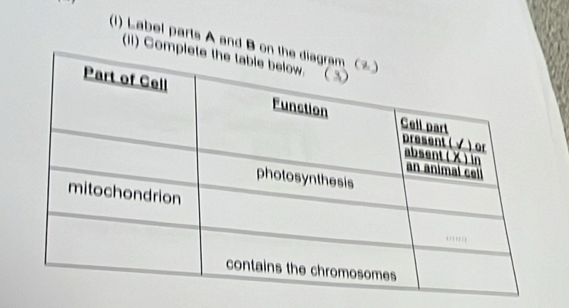 (1) Label parts A and 
(11i)