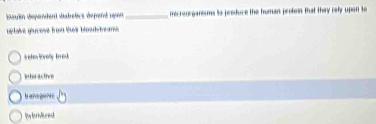 Insuln dependent diabelics depend upon _microorganisms to produce the human protein that they rely upon to
uplake glucose from their bloodstreams
Refectively bred
Interactve
bansgenic
hybridized