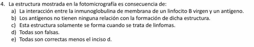 La estructura mostrada en la fotomicrografía es consecuencia de:
a) La interacción entre la inmunoglobulina de membrana de un linfocito B virgen y un antígeno.
b) Los antígenos no tienen ninguna relación con la formación de dicha estructura.
c) Esta estructura solamente se forma cuando se trata de linfomas.
d) Todas son falsas.
e) Todas son correctas menos el inciso d.