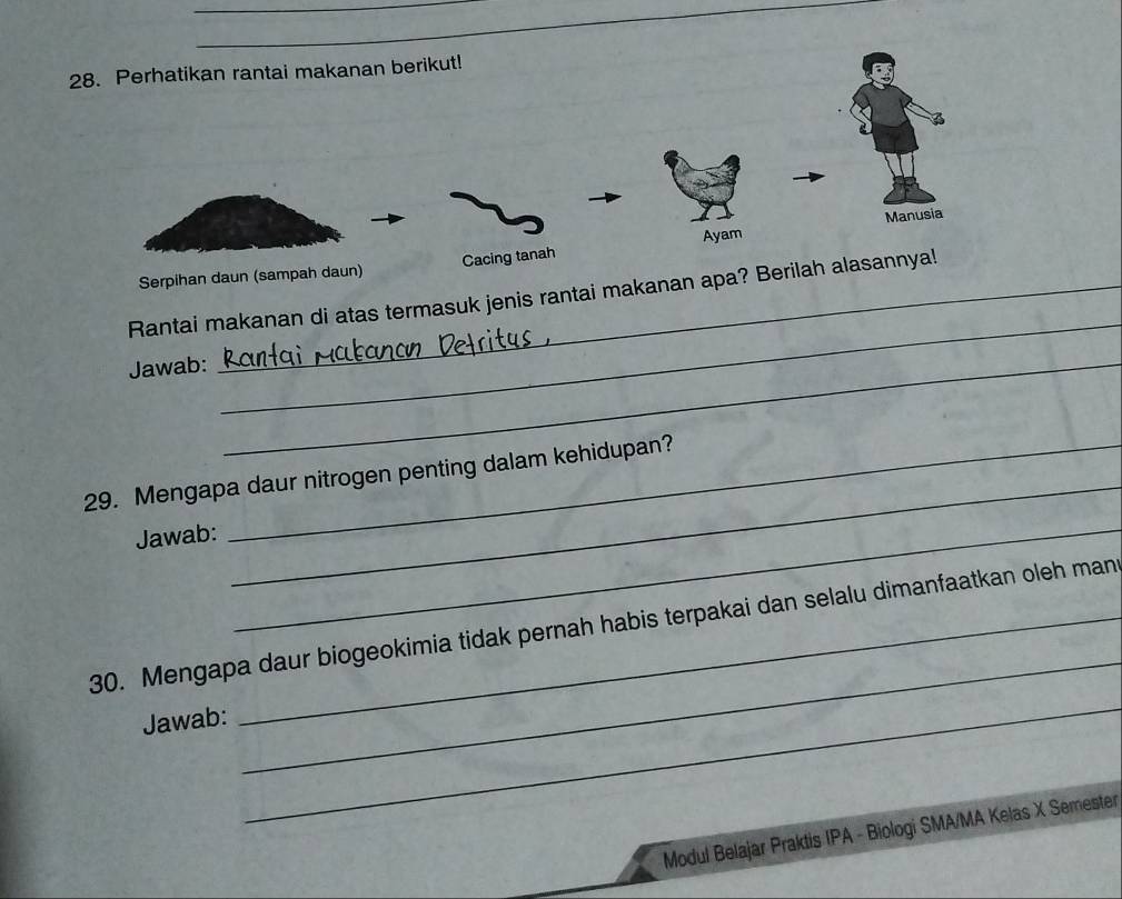 Perhatikan rantai makanan berikut! 
Manusia 
Ayam 
Serpihan daun (sampah daun) Cacing tanah 
Rantai makanan di atas termasuk jenis rantai makanan apa? Berilah alasannya! 
Jawab:_ 
_ 
29. Mengapa daur nitrogen penting dalam kehidupan? 
Jawab: 
_ 
_ 
_ 
_ 
30. Mengapa daur biogeokimia tidak pernah habis terpakai dan selalu dimanfaatkan oleh man 
Jawab: 
Modul Belajar Praktis IPA - Biologi SMA/MA Kelas X Semester