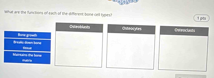 What are the functions of each of the different bone cell types? 
1 pts 
Osteoblasts Osteocytes Osteoclasts 
Bone growth 
Breaks down bone 
tissue 
Maintains the bone 
matrix