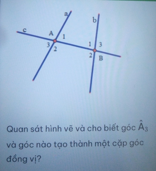 Quan sát hình vẽ và cho biết góc hat A_3
và góc nào tạo thành một cặp góc 
đồng vị?